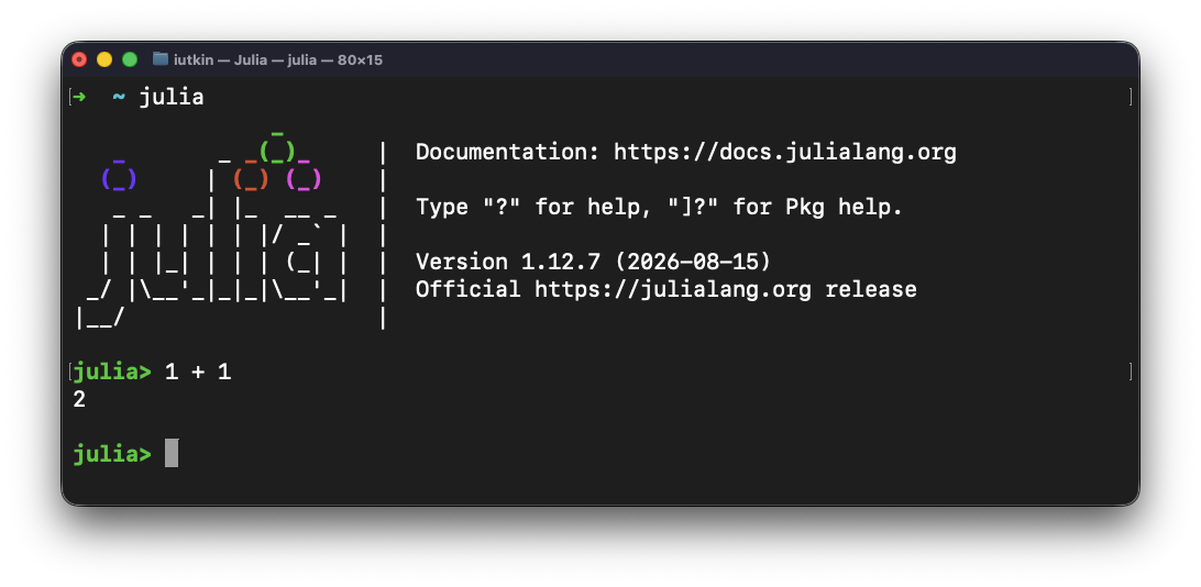 Julia from Terminal